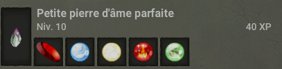 2 petite pierre d ame