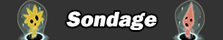 Sondage