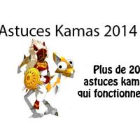 Astuces kamas 2014